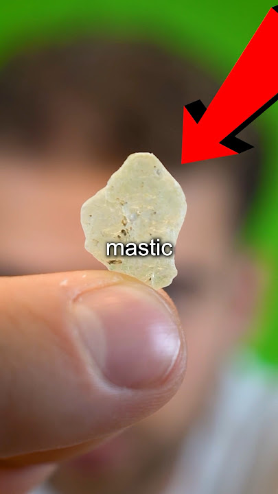 Mastic Gum Lasts Forever?