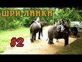 Достопримечательности, что посмотреть в Шри-Ланке | Катание на слонах #2