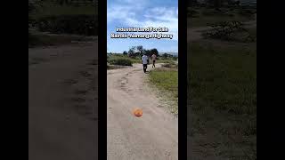 Industrial Land For Sale | Land For Sale in Kajiado | Prime Acres #shortsyoutube #viralshortsvideo