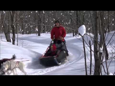 Three Lakes Academy at Nature's Kennel