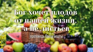 Бог хочет плодов от нашей жизни, а не листьев / Олег Бешта / 27.10.2019