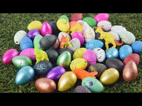 Дракон з яйця / Вирощуємо дракона / Подарунок для дітей / BohdanLife