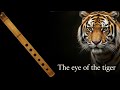 Solo 3 Notas en Quena! 🎶 Eye of the Tiger - Parte 1