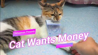Funny Cat Wants Money . The #Cat refuses to return money once she got it l Kucing Mata Duitan by Oh Hooman 3,749 views 3 years ago 1 minute, 56 seconds