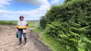 Circular walk from the village of Sutton. Part one.