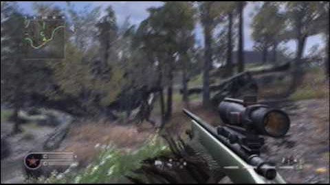 EasyCap quality test - cod4