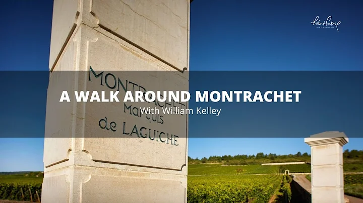 A walk around Montrachet with William Kelley