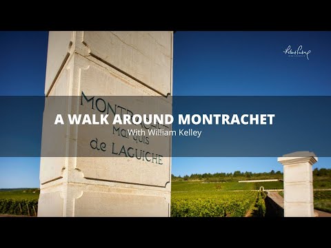 A walk around