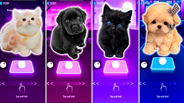 CUTE CAT FRIENDS VS CUTE DOG MARSHMELLO VS CUTE CAT ENEMY VS CUTE DOG AQUA BARBIE GIRL & TILES HOP