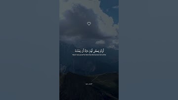 وَإِنَّهُۥ لَتَنزِيلُ رَبِّ ٱلۡعَٰلَمِينَ || التلاوة الخاشعة جدا بصوت اسلام صبحي .
