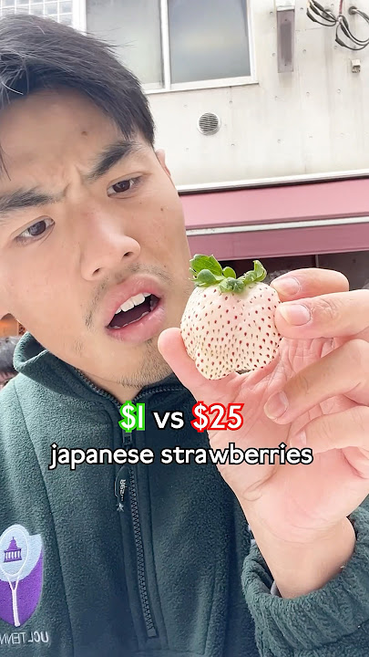 $1 vs $25 Japanese Strawberries