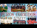 100% Norteñas, Corridos y Rancheras Para Pistear Tigres del Norte,Huracanes del Norte,Ramón Ayala