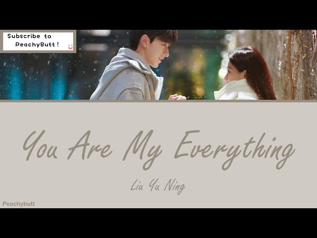 [OST Of Love Scenery] 《You Are My Everything》 Liu Yu Ning (Eng|Chi|Pinyin) class=