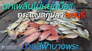 กระเตงตกปลาบ้านสีฟ้า ศรีราชา ฝนมาปลายังกิน @fishingcook7630