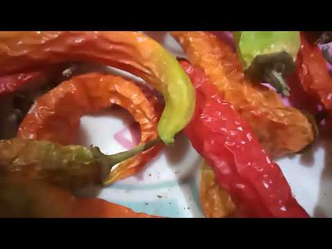 تحويل الفلفل الاخضر الى احمر بمنتهى السهوله والبساطه وحصري