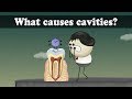 What causes cavities  aumsum kids science education children
