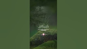 وَلَئِنْ سَأَلْتَهُمْ مَنْ نَزَّلَ مِنَ السَّمَاءِ مَاءً  القارئ (عبدالرحمن مسعد)