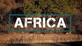 Interesting facts about Africa