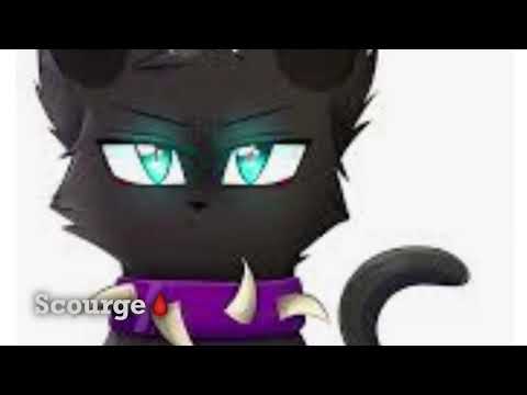 This is what your favorite warrior cat says about you!
