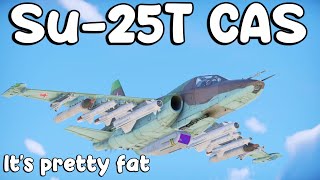 Su-25T CAS (And Some 27K). I Just Wish It Wasn't So Fat