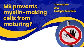 MS and new insights on making or not making myelin