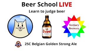 Learn to judge beer. BJCP 25C Belgian Golden Strong Ale Duvel screenshot 4