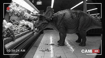 Who Broke Into the Supermarket | Dinosaur Caught in 4K