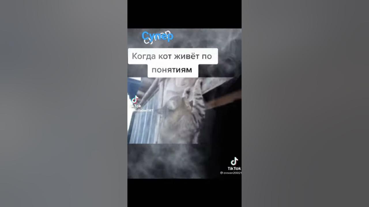 Вы живете по понятиям