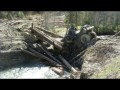 ВОДИТЕЛЬ лесовоза 80 УРОВЕНЬ Лесовозы по бездорожью уникальная подборка Russian truck stuck in the