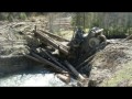 ВОДИТЕЛЬ лесовоза  80 УРОВЕНЬ Лесовозы по бездорожью уникальная подборка Russian truck stuck in the