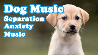Music for Lonely Dogs! Keep Your Dog Relaxed, Dog Music, Calm Music