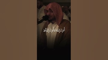 سورة العنكبوت )46(