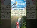 Surah ar-Rahman