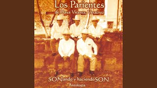 Video thumbnail of "Los Parientes De Playa Vicente - La Llorona"