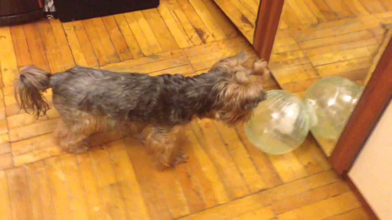 Знакомство