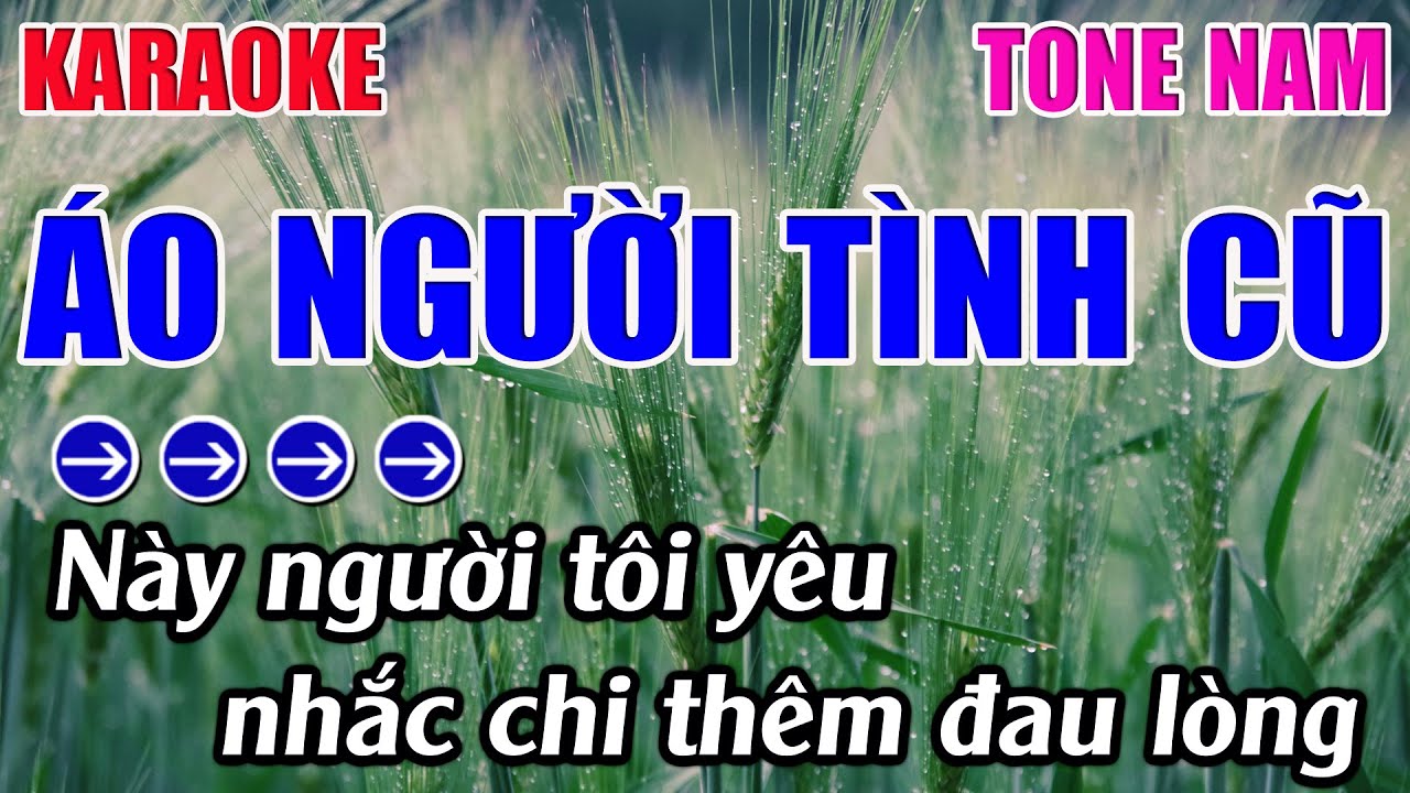 Áo Người Tình Cũ Karaoke Tone Nam ( Am ) Karaoke 9999 - Beat Mới