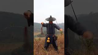 Chinese Cooking Modern-Cooking Food screenshot 4