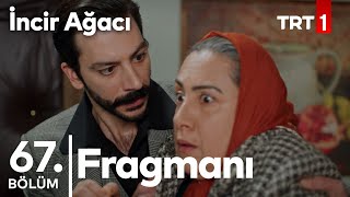 İncir Ağacı 67. bölüm fragmanı