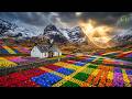 No Ads Beautiful Relaxing Music 🌿Gentle Nature Sounds for Deep Sleep & Mind Healing & Stress Relief