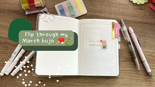 Flip through my March bujo! Stalogy A6: goals, currently, mood, month spread, brain dump