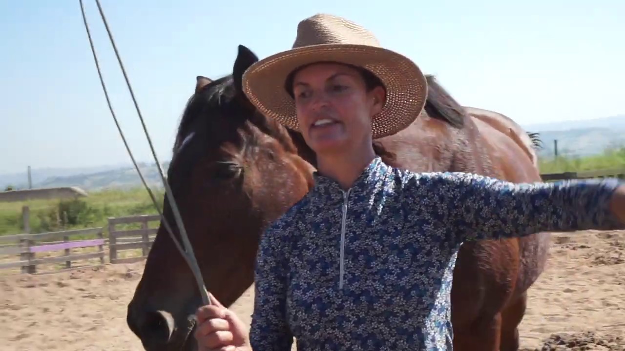 Lady Helps Neglected Horses to Recovery YouTube