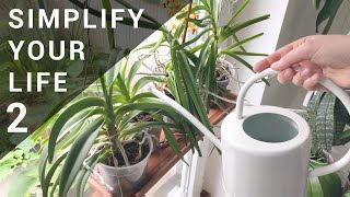 My Simplified Orchid & Houseplant Watering Routine Pt. 2 - Hacks to Make it Work screenshot 4