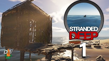Another Crash?: Stranded Deep