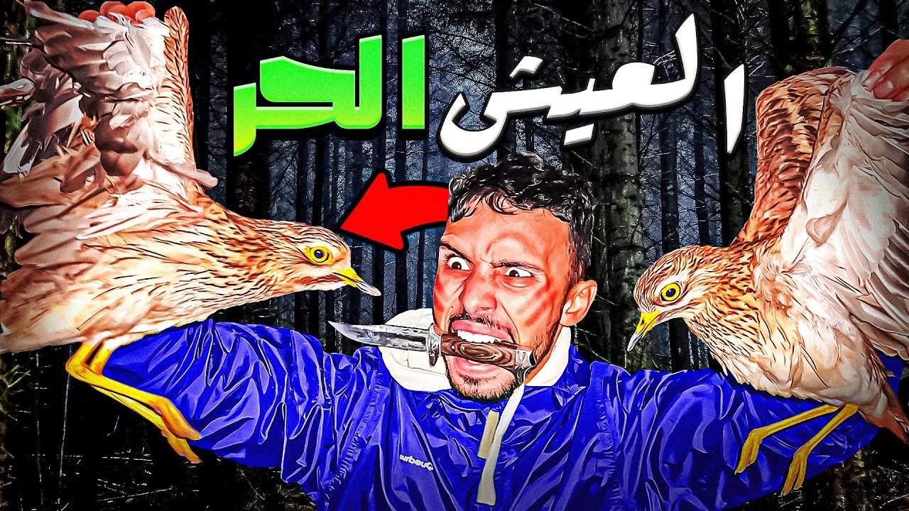 الحياة البرية:صراع البقاء🔥تحدي الصيد في منتصف اليل😱أدغال مرعبة حصيلة رائعة 🏹🏕️