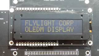 Flylight OLED Manufacture  1602B Yellow  Sunlight  Readable