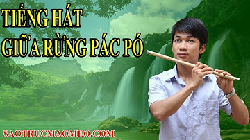 tiếng hát giữa rừng Pác Bó Sáo Trúc Mão Mèo