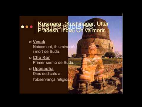 Vídeo: Quins Rituals Hi Ha Al Budisme