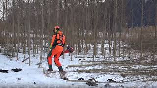 Hswt Energiewaldernte 2018 Youtube