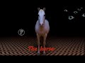 The Silent Horse..