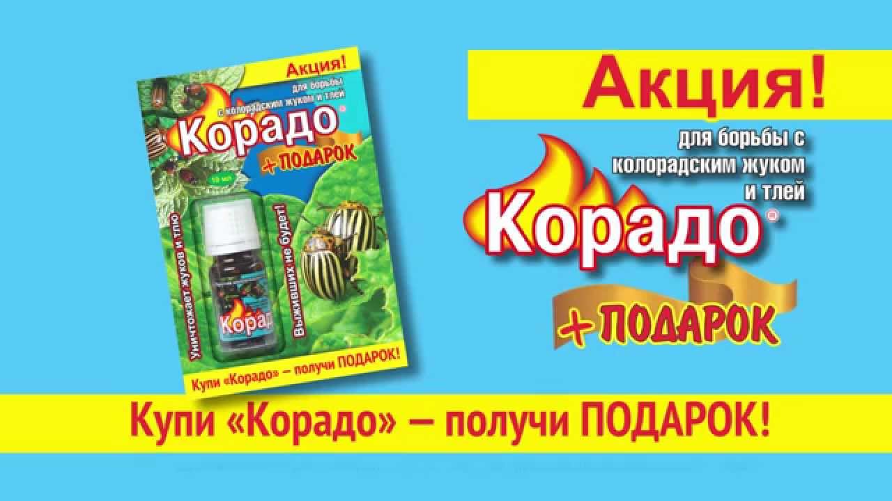 Корадо авто фото